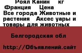  Роял Канин 20 кг Франция! › Цена ­ 3 520 - Все города Животные и растения » Аксесcуары и товары для животных   . Белгородская обл.